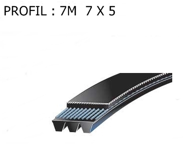 7M-2000JB/6 POLYFLEX(8923-00169)GAT