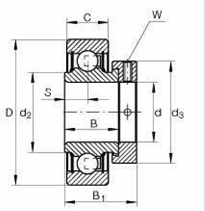 ES202G2 RAE15NPPB15X40X28.6/12SNR