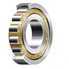 NUP 318 ECJ SKF