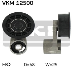 VKM 12500 SKF