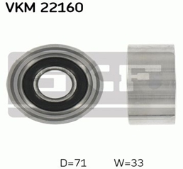 872 VKM 22160 SKF