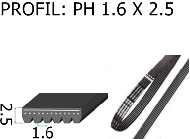 ELASTIC 04-PH-2337 KIN
